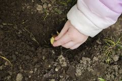 WhatsApp-Image-2026-04-