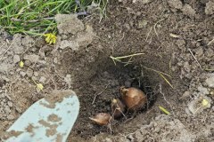 WhatsApp-Image-2026-04-24-at-0