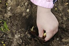 WhatsApp-Image-2026-04-24-at-09.4