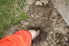 WhatsApp-Image-2026-04-24-at-09.43.4