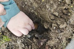 WhatsApp-Image-2026-04-24-at-09.43