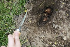 WhatsApp-Image-2026-04-24-at-09