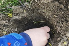 WhatsApp-Image-2026-04-24-at-09_