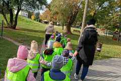 Motylki na jesiennym spacerze