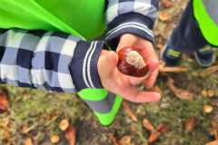 Zdjecie-WhatsApp-2025-10-06-o-10.18.36_bf29bced