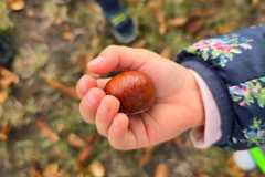 Zdjecie-WhatsApp-2025-10-06-o-10.18.36_ea73b0d4