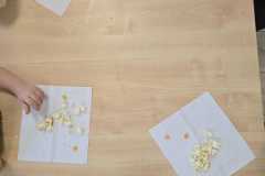 WhatsApp-Image-2026-01-13-at-10.17.5