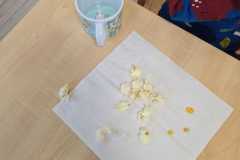 WhatsApp-Image-2026-01-13-at-10.17.55