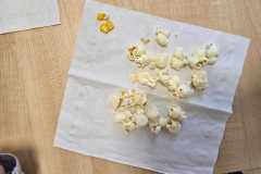 WhatsApp-Image-2026-01-13-at-10.17