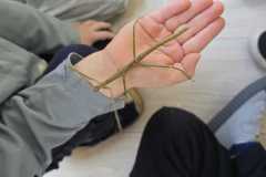 WhatsApp-Image-2026-04-16-