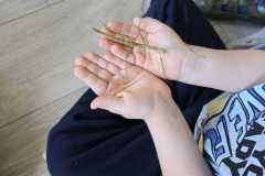 WhatsApp-Image-2026-04-16-a