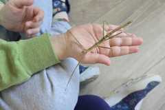 WhatsApp-Image-2026-04-16-at-1