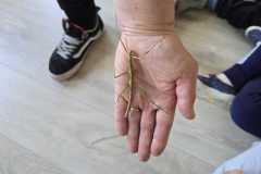 WhatsApp-Image-2026-04-16-at-15.23.0