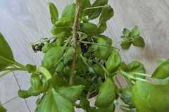 WhatsApp-Image-2026-04-16-at-15.23.01