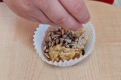 1_WhatsApp-Image-2026-03-17-at-17