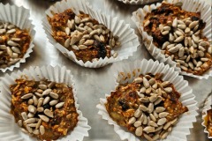 WhatsApp-Image-2026-03-17-at-