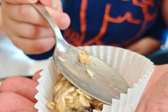 WhatsApp-Image-2026-03-17-at-17.14.5