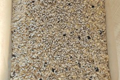 WhatsApp-Image-2026-03-17-at-17