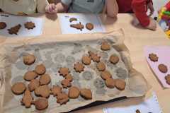 WhatsApp-Image-2025-