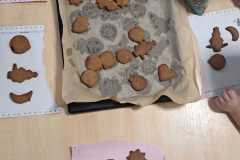 WhatsApp-Image-2025-12