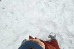 Zdjecie-WhatsApp-2025-11-24-o-12.49.47_59650f4e