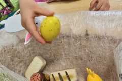 WhatsApp-Image-2026-04-02-at-09.4