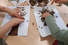 Zdjecie-WhatsApp-2025-09-26-o-12.06.58_3c3432be