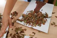 Zdjecie-WhatsApp-2025-09-26-o-12.06.58_9565c9d9