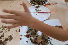 Zdjecie-WhatsApp-2025-09-26-o-12.06.59_5b5cdb07