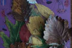 Pszczółki lubią jesień