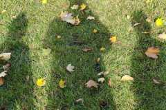 Zdjecie-WhatsApp-2025-10-24-o-17.16.32_1b8c7253