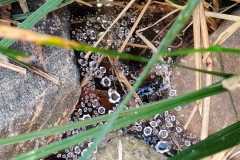 Zdjecie-WhatsApp-2025-10-24-o-17.16.32_2728e381