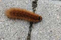 Zdjecie-WhatsApp-2025-10-24-o-17.16.32_6c85b099