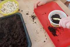 1_WhatsApp-Image-2026-03-20-at-07.24