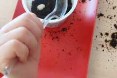 WhatsApp-Image-2026-03-20-at-07