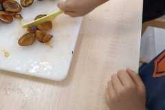 Zdjecie-WhatsApp-2025-09-26-o-08.15.31_a1ba8a30