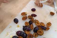 Zdjecie-WhatsApp-2025-09-26-o-08.15.32_6d0a0127