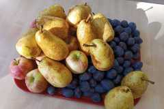 Zdjecie-WhatsApp-2025-09-26-o-08.15.33_e836d9d1