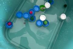 WhatsApp-Image-2026-03-31-at-15.21.2