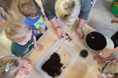 Zdjecie-WhatsApp-2025-11-27-o-15.22.52_00e21d98