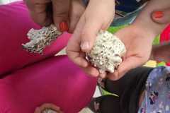 Zdjecie-WhatsApp-2025-11-27-o-15.22.52_010e04dd