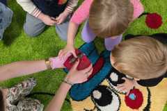 Zdjecie-WhatsApp-2025-11-27-o-15.22.52_9e3aee3a