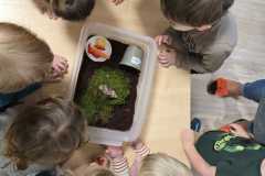 Zdjecie-WhatsApp-2025-11-27-o-15.22.52_ae781b6f