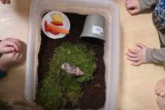 Zdjecie-WhatsApp-2025-11-27-o-15.22.52_b35b1333