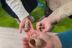 Zdjecie-WhatsApp-2025-11-27-o-15.22.52_f9ac1c4a