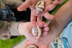 Zdjecie-WhatsApp-2025-11-27-o-15.22.53_64205b90