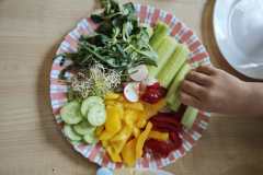 WhatsApp-Image-2026-04-24-at-09.46.50