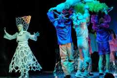 WhatsApp-Image-2025-12-19