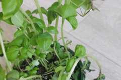 1_WhatsApp-Image-2026-04-17-at-18.37