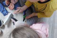 WhatsApp-Image-2026-04-17-at-18.37.21